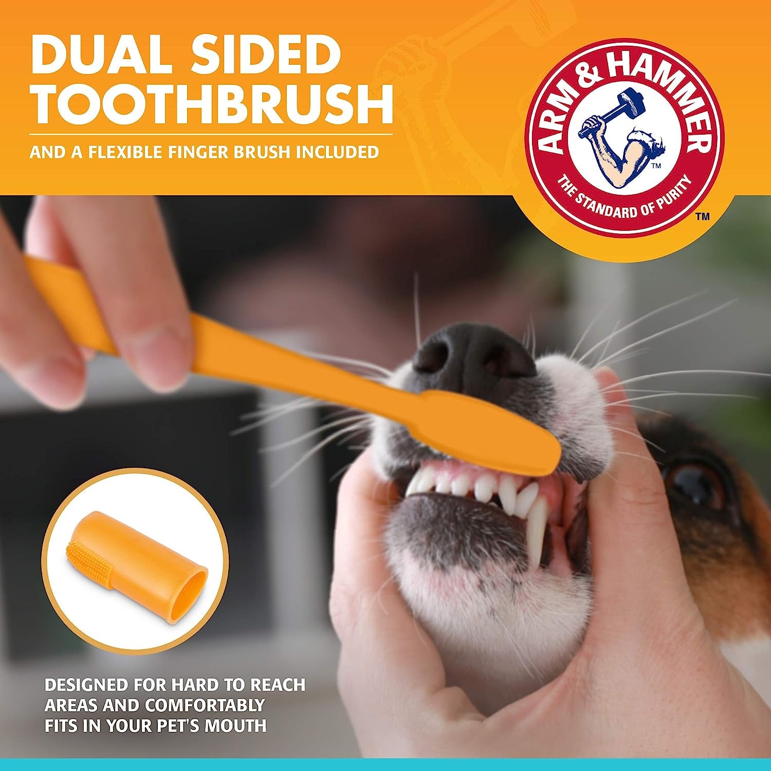 for Pets Fresh Breath Enzymatic Dog Dental Care Kit - Includes Dog Toothpaste, Dual Sided Toothbrush and Fingerbrush - Bad Breath Treatment, Chicken Flavor, 2.5 Ounce